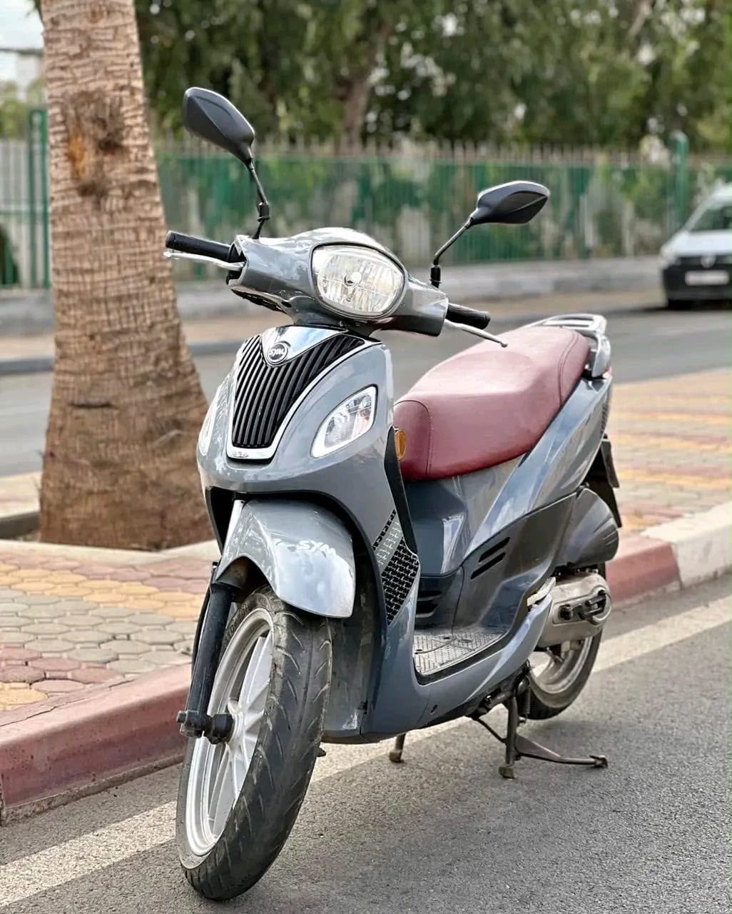 Sym grise 1